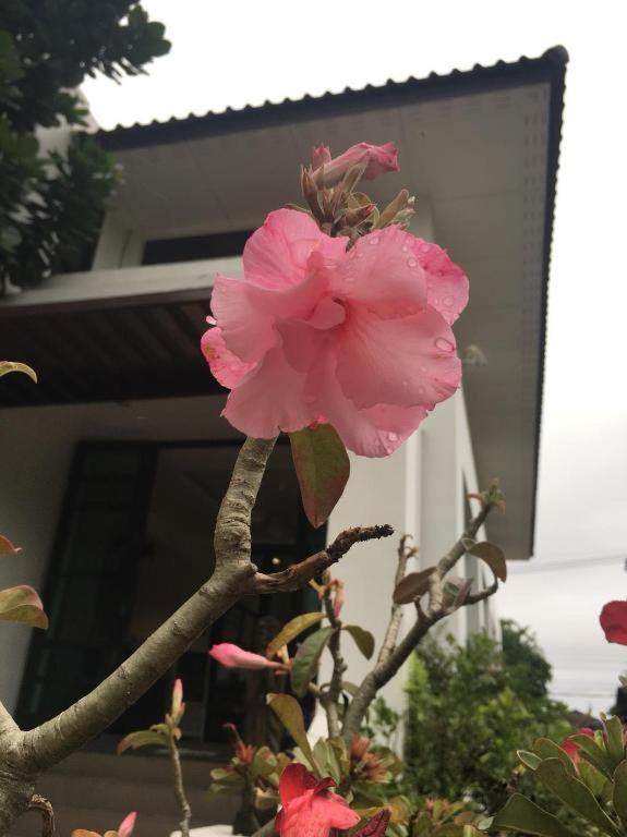 Baan Nan B&B Hotel Eksteriør bilde